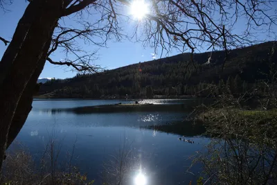 DSC_1137 (Large).JPG